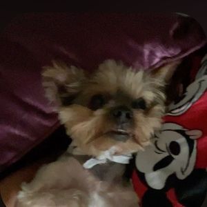 Meet your Posher, Miyah